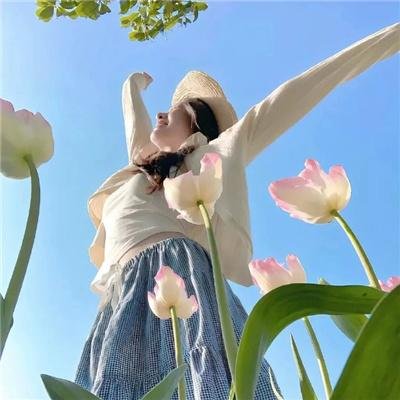 空中致胜 在线观看